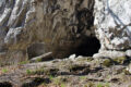Peștera Caprei